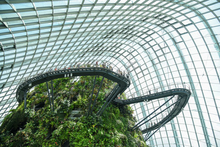 SINGAPORE - MAY 7, 2016 : Tourists walk on the bridge in Cloud Forest dome at Garden by the bay,...