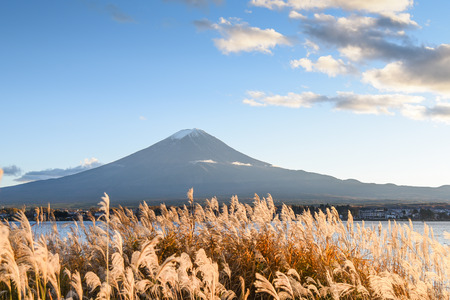 Beautiful view of Mount Fuji and field at Lake Kawaguchi in autumn season, This mountain is an famous natural landmark of Japanの写真素材