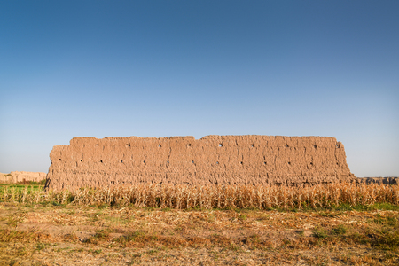 old ruin brown natural clay wall in cornfield under clear blue skyの写真素材
