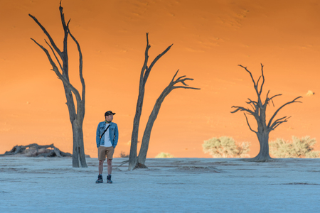 Young male traveler standing between dead trees in deadvlei (Sossusvlei) during sunrise, famous natural landmark in Namib desert of Namibia, Africaの写真素材