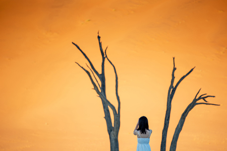 Young attractive Asian girl wearing white dress standing in deadvlei (Sossusvlei) during the sunrise, famous natural landmark in Namib desert of Namibia, Africaの写真素材