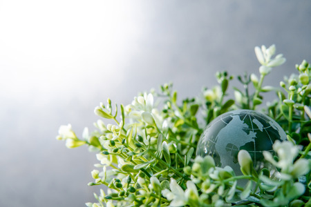 World globe cystal glass on green leaves bush. Environmental conservation. World environment day. Global business for sustainable development. Nature and ecology concept.の写真素材