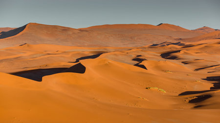 Light and shadow over the crest of orange sand dunes landscape in Namib Desert, Namib-Naukluft National Park, Namibia, South Africa.の写真素材