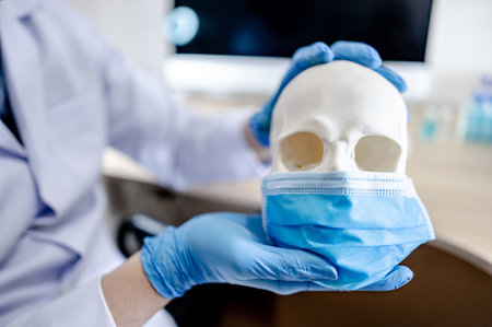Doctor hand with sterile latex gloves holding human skull wearing blue surgical mask in hospital medical clinic. Coronavirus (COVID-19) infection prevention conceptの写真素材