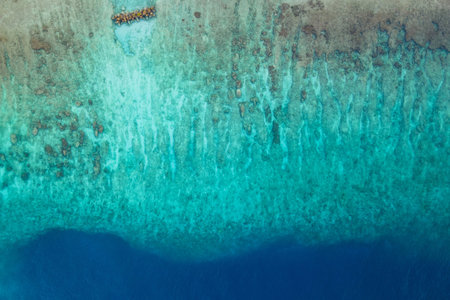 Aerial view of coral reef landscape at tropical beach island of Fuvahmulah, a famous dive site for...