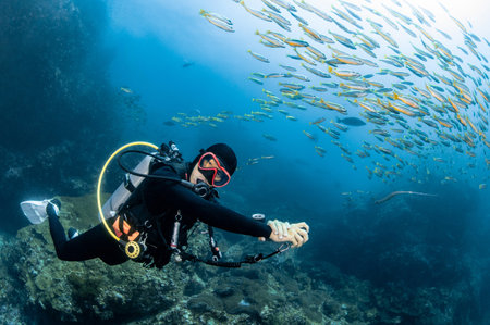 Male scuba diver swimming with a school of fish at Richelieu Rock, one of the popular dive sites of Andaman sea. Scuba diving experience in Thailand. Underwater world conceptの写真素材