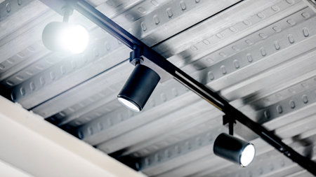 Modern black spotlight lamp hanging on metallic ceiling. lighting design for spot and highlight object in museum, gallery and exhibition interiorの写真素材