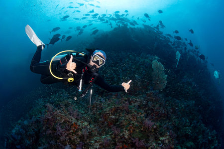 Female scuba diver diving at Richelieu Rock with massive fish schooling over the pinnacle. Richelieu Rock is one of the best dive sites for scuba diving in Asia. Located in Andaman sea, Thailand.の写真素材