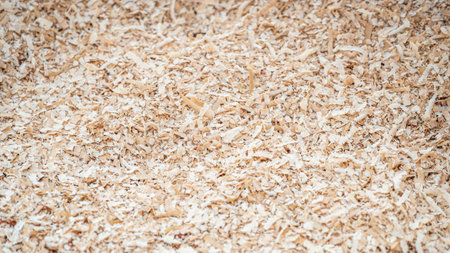 Sawdust heap spreading on the floor in wood workshop. Wooden dust from planing and sawing timber. Wood production waste. lumber industry backgroundの写真素材