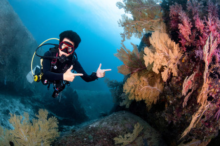 Asian male scuba diver pointing at tropical coral reef full of sea fan and colorful soft coral in...