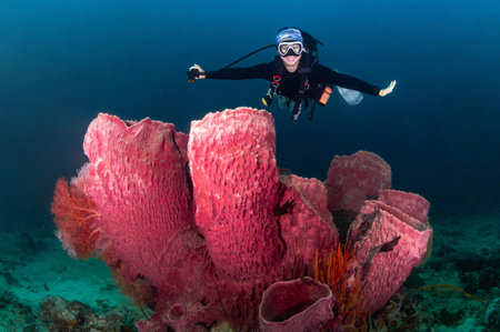 Smiley Asian female scuba diver posing over giant barrel sponge coral in Andaman sea. Scuba diving...