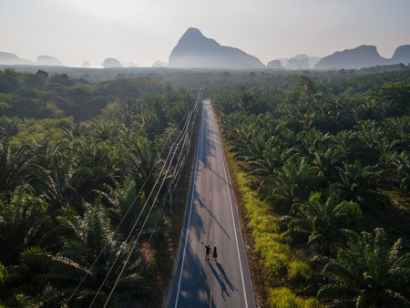A couple walking together along the road leading to the beautiful limestone islands of Phang Nga Bay, Thailand. Aerial view of local road way with palm tree plantation beside. Vacation time and travelの写真素材