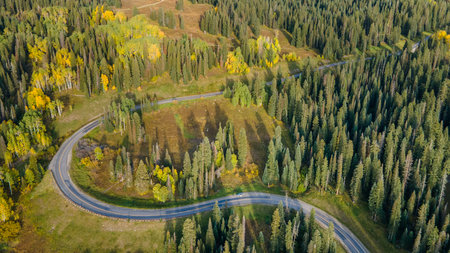 Aerial drone footage of S curve road winding through green pine and aspen forest during early fall season of Colorado, USA.の写真素材