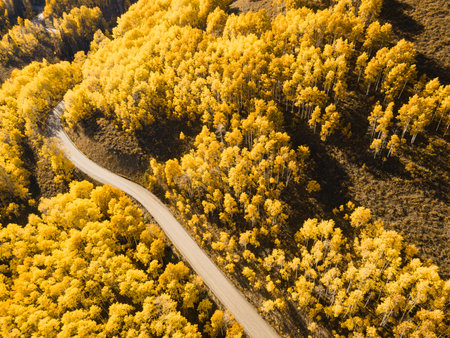 Beautiful dirt road winding through yellow aspen forest during golden sunset in peak fall foliage at Crested Butte, Colorado, USA. Aerial view of scenic autumn season mountain landscapeの写真素材