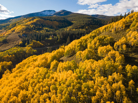Beautiful yellow aspen forest during golden sunset in peak fall foliage at Crested Butte, Colorado, USA. Aerial view of scenic autumn season mountain landscapeの写真素材