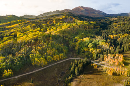 Aerial view of yellow aspen and green pine forest during early fall foliage in Colorado, USA. Scenic autumn season mountain landscapeの写真素材