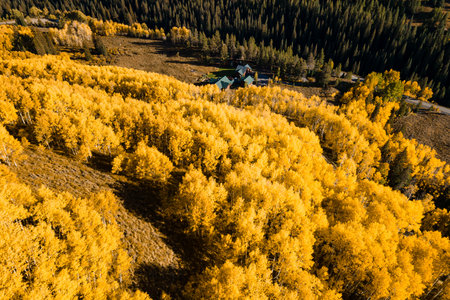 Beautiful yellow aspen forest during golden sunset in peak fall foliage with cottage on the hill at Crested Butte, Colorado, USA. Aerial view of scenic autumn season mountain landscapeの写真素材