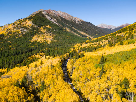Aerial view of rural road winding through the yellow aspen forest with some pine trees at both sides. Beautiful landscape during fall foliage in Colorado, USA. Scenic autumn road on mountain hillの写真素材