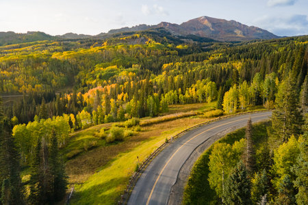 Aerial view of yellow aspen and green pine forest during early fall foliage in Colorado, USA. Scenic autumn season mountain landscapeの写真素材
