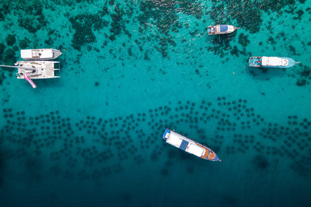 Aerial view of Koh Racha Yai Island with tourboat, yacht catamaran and diving boat anchoring over the artificial reef. A popular destination for summer vacationの写真素材