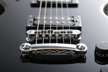 Electric guitar parts and enlarged photo