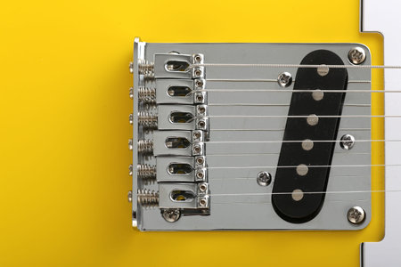 Electric guitar parts and enlarged photo