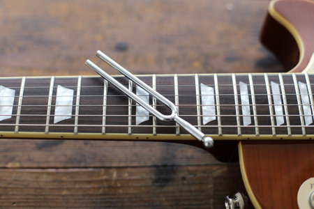 Electric guitar parts and enlarged photo