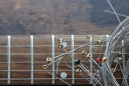 Electric guitar parts and enlarged photo