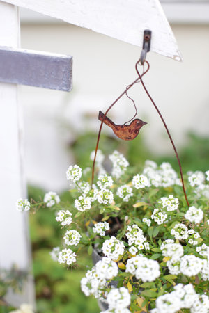 Image photo of indoor green as an interior that enriches the mindの写真素材