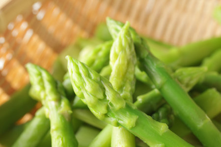 Group image of green asparagus on white backgroundの写真素材