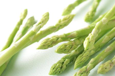 Group image of green asparagus on white backgroundの写真素材