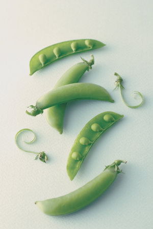 Image photo of peas taken on a light pastel green backgroundの写真素材