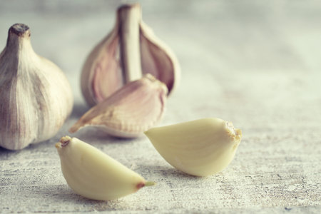 Garlicの写真素材