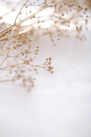 Christmas ornaments on white backgroundの写真素材