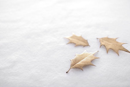 Christmas ornaments on white backgroundの写真素材