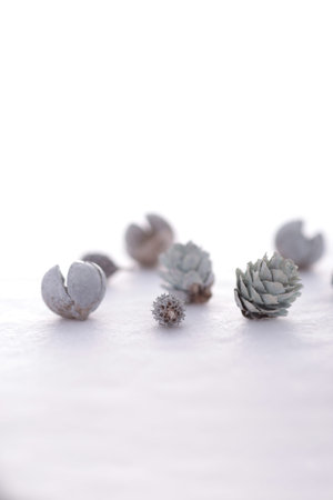 Christmas ornaments on white background