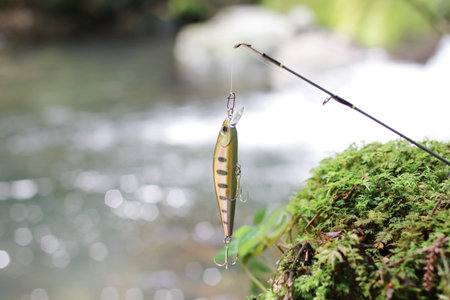 Image of mountain stream lure fishing and clear stream