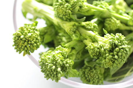 Spring vegetable rapeseed