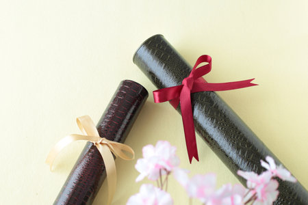 Graduation certificate, graduation album and cherry blossom petalsの写真素材