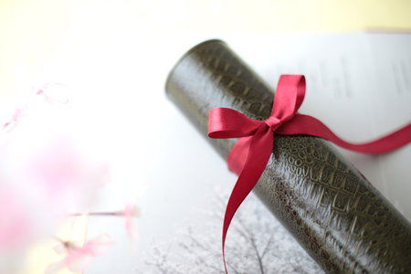 Rolled document with a red ribbon and cherry blossom petalsの写真素材