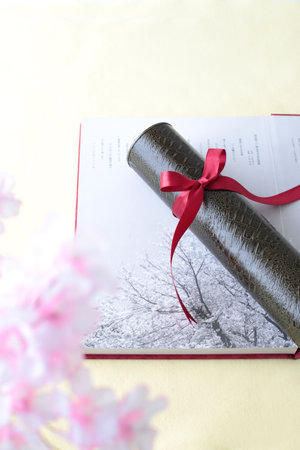 Graduation certificate, graduation album and cherry blossom petalsの写真素材
