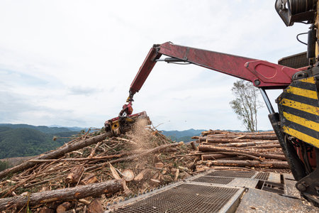 mechanical arm woodcutter picking up and cutting harvested log trunks and delivering it by steel...