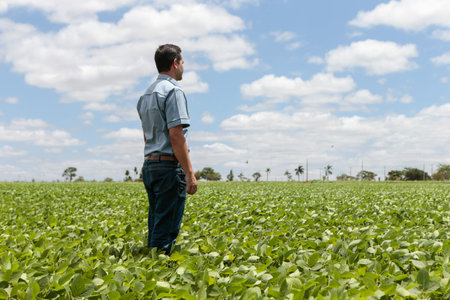 man worker looking over field on a soy crop and a blue beautiful sunny day