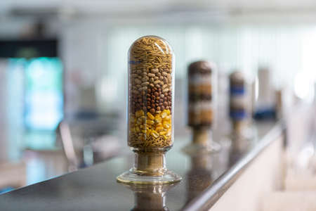 plants seeds on a laboratory glass with blurred backgroundの写真素材