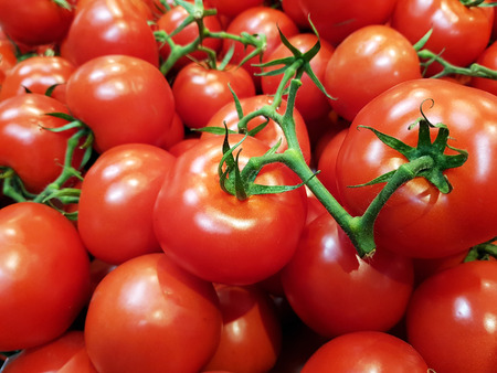 Red tomatoesの写真素材
