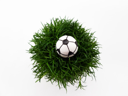 Football on Green lawnの写真素材