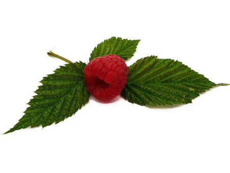 Fresh raspberries with leaf on white backgroundの写真素材