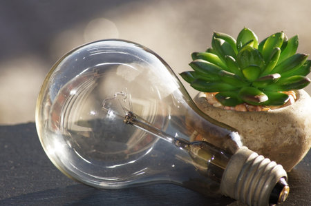 Close-up of a green light bulb