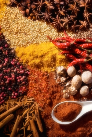 Various spicesの写真素材