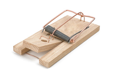 loaded mousetrap 